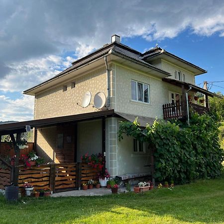 Casa Danut Villa Vidra  Екстериор снимка